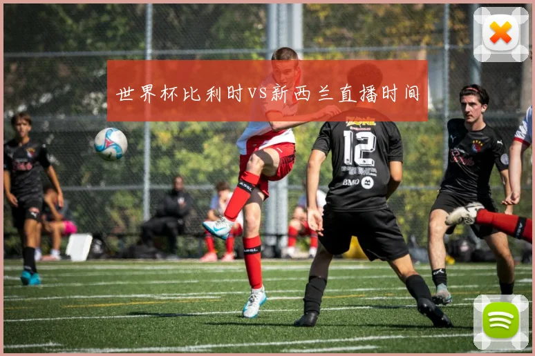 世界杯比利时vs新西兰直播时间