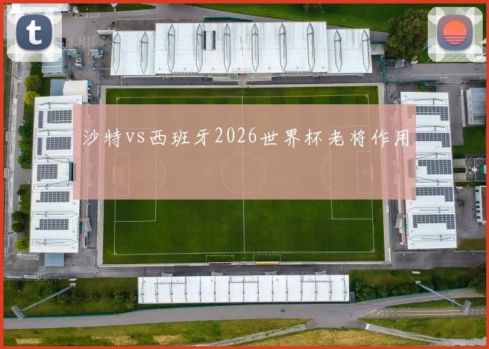 沙特vs西班牙2026世界杯老将作用