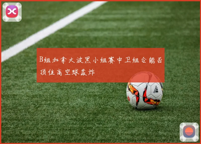 B组加拿大波黑小组赛中卫组合能否顶住高空球轰炸