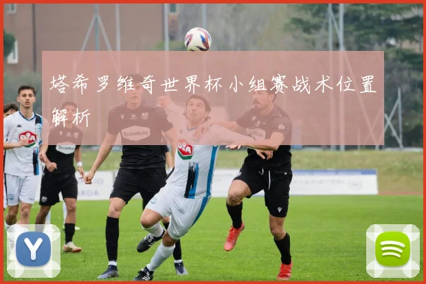 塔希罗维奇世界杯小组赛战术位置解析