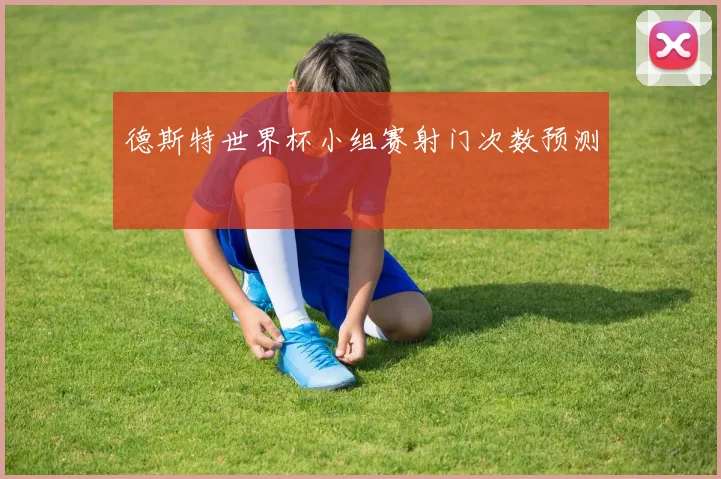 德斯特世界杯小组赛射门次数预测