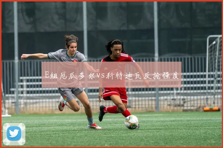 E组厄瓜多尔vs科特迪瓦反抢强度