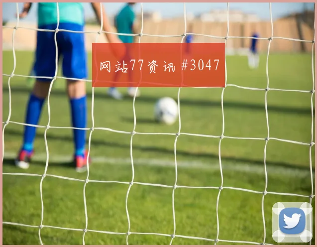 世界杯刚果金vs葡萄牙传控比例