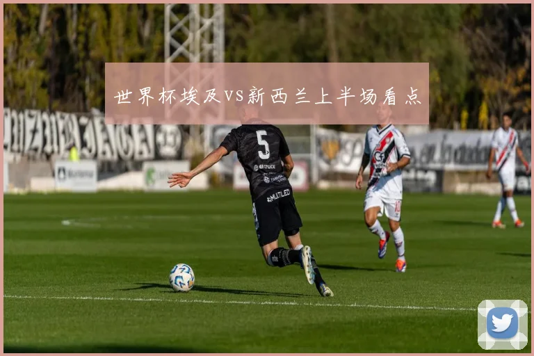 世界杯埃及vs新西兰上半场看点