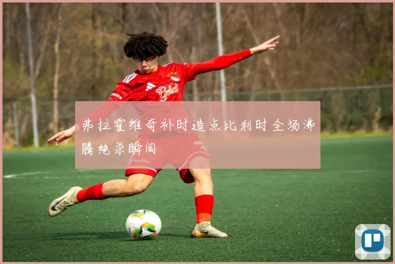 弗拉霍维奇补时造点比利时全场沸腾绝杀瞬间